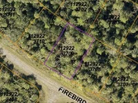 FIREBIRD RD — photo 4