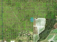 GRAPE HAMMOCK RD — photo 3