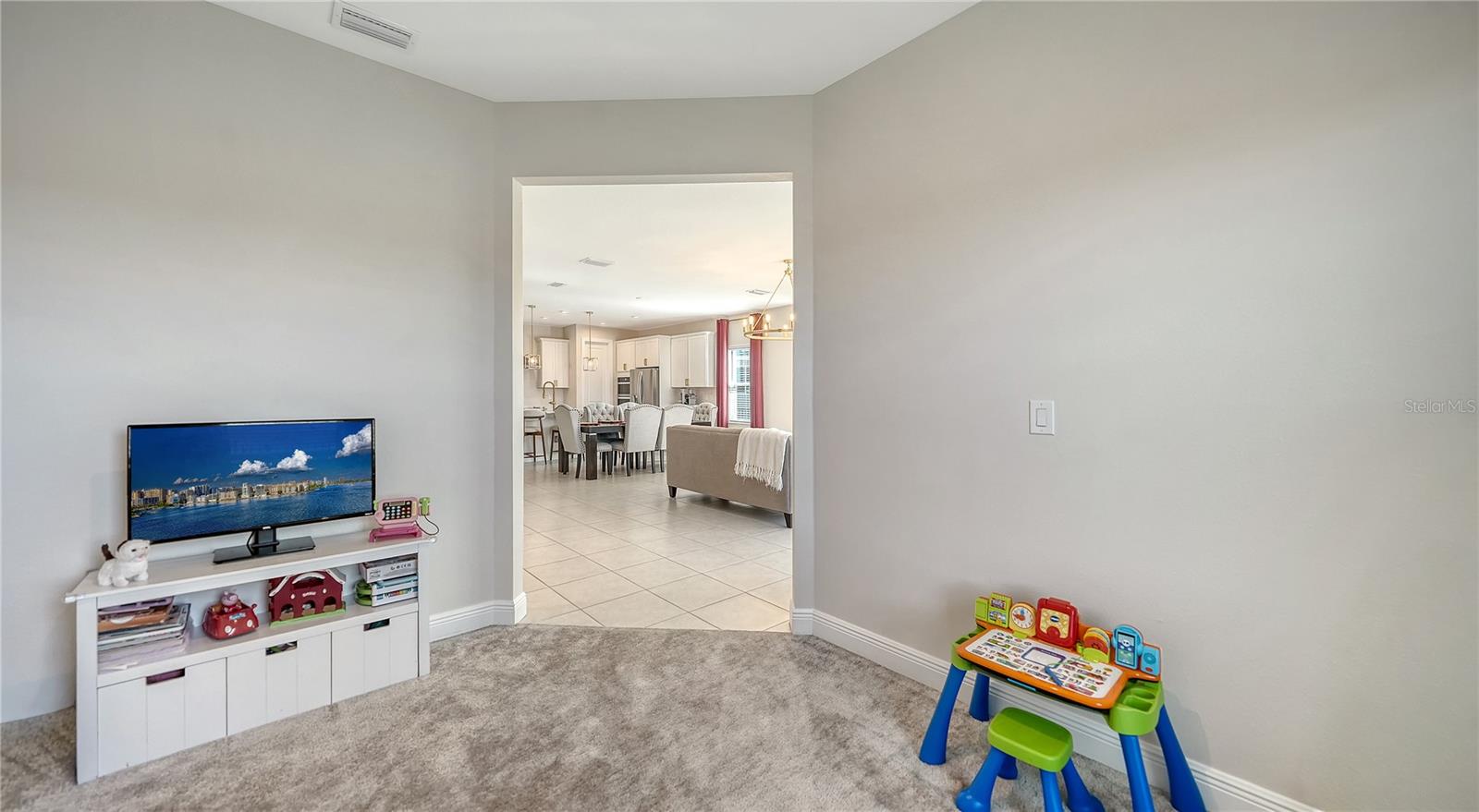 11869 RICHMOND TRL, PARRISH, FL — photo 40