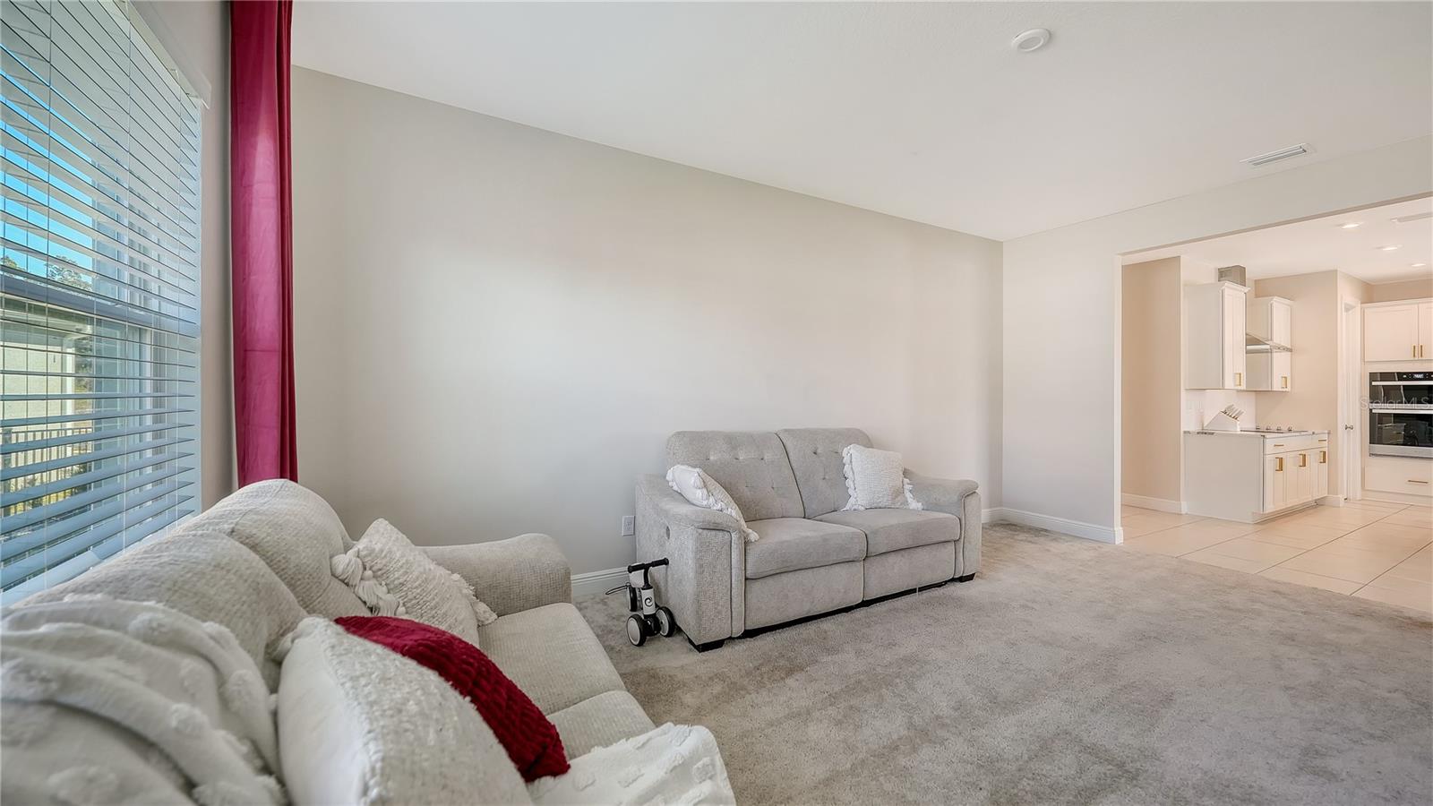 11869 RICHMOND TRL, PARRISH, FL — photo 29