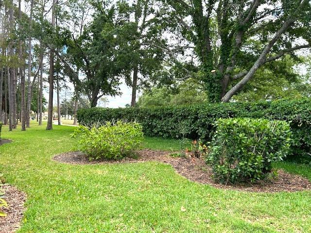 11752 WAYSIDE WILLOW CT, HUDSON, FL — photo 19