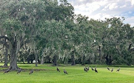 3650 LAKE TOHOPEKALIGA RD, ST CLOUD, FL — photo 13