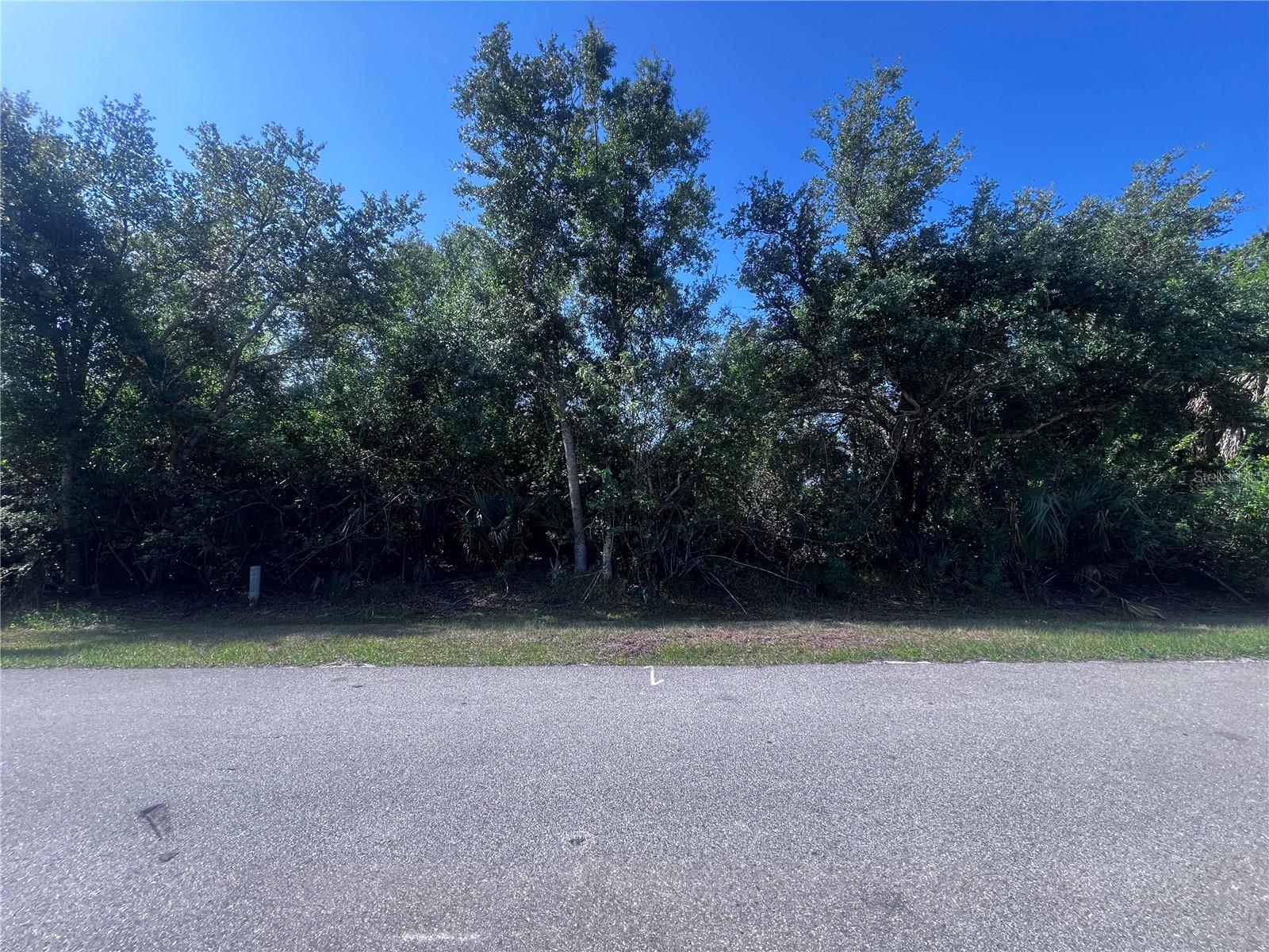 27195 ADAMS ST, PUNTA GORDA, FL — photo 2
