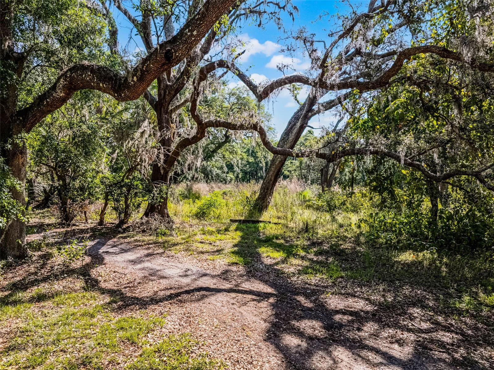 3633 PANTHER PATH RD, LUTZ, FL — photo 6