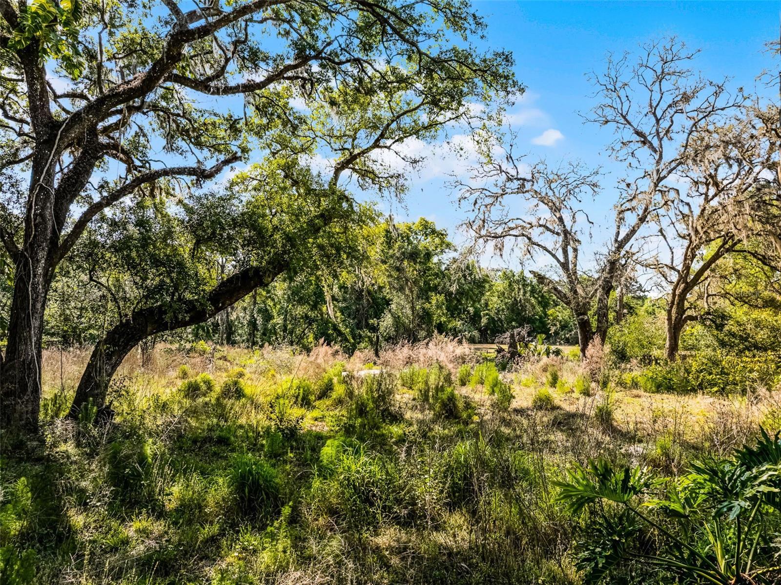 3633 PANTHER PATH RD, LUTZ, FL — photo 10