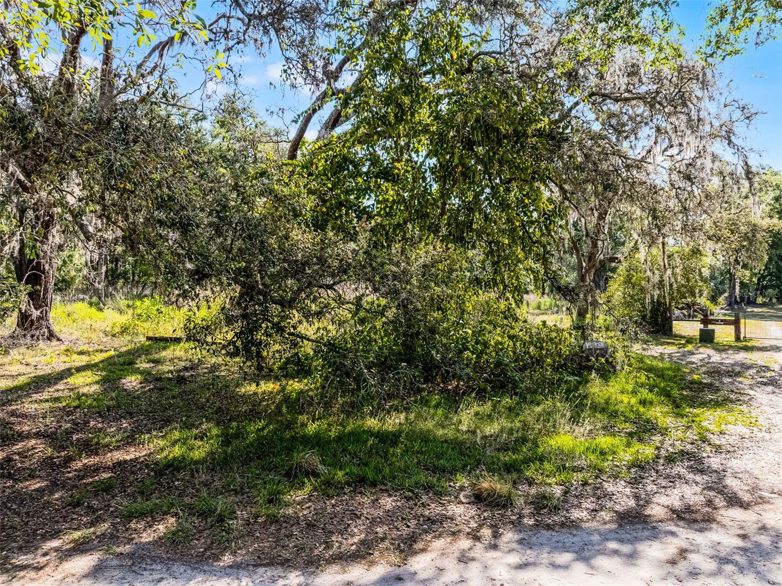 3633 PANTHER PATH RD, LUTZ, FL — photo 12