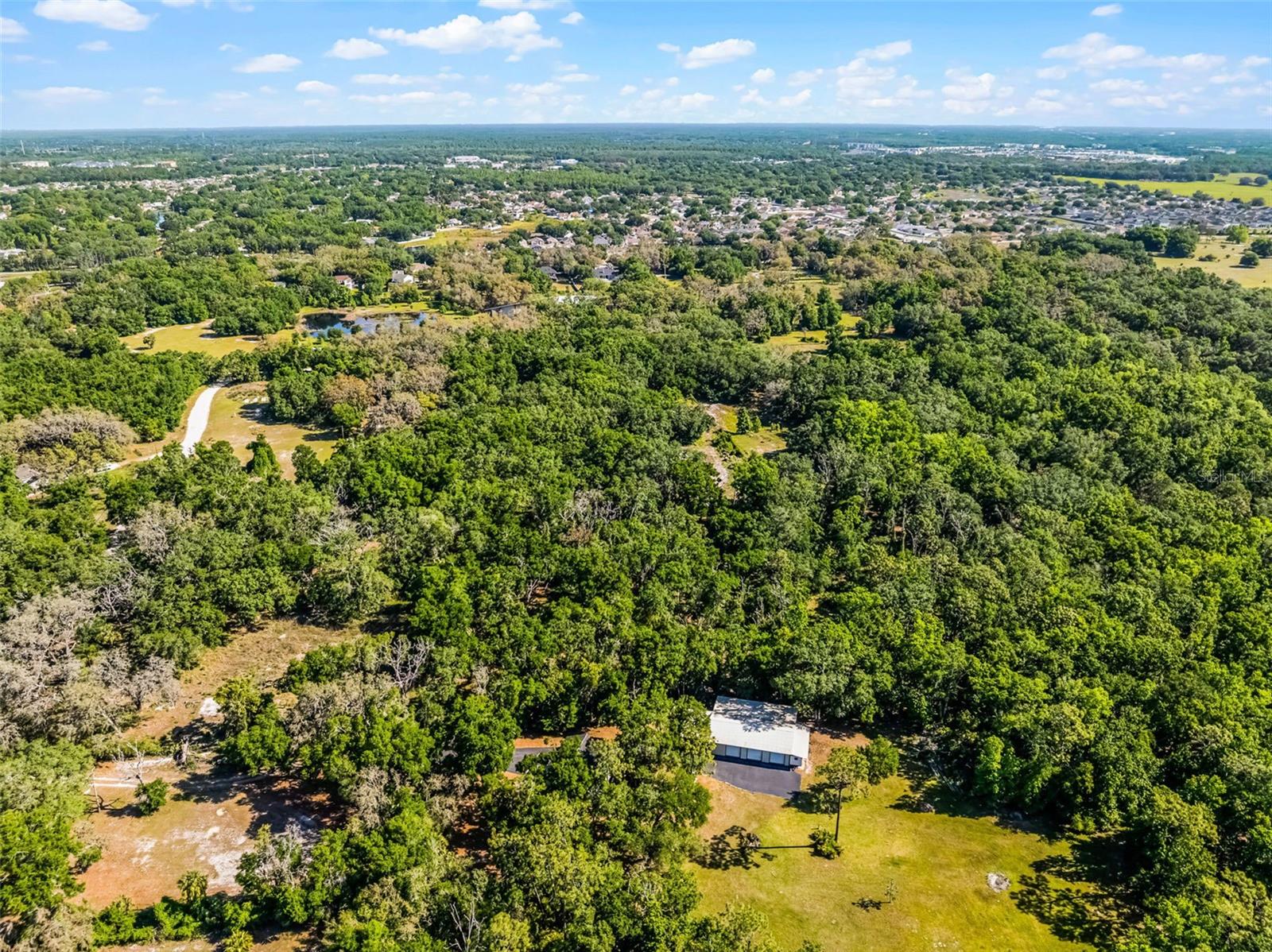 3633 PANTHER PATH RD, LUTZ, FL — photo 15