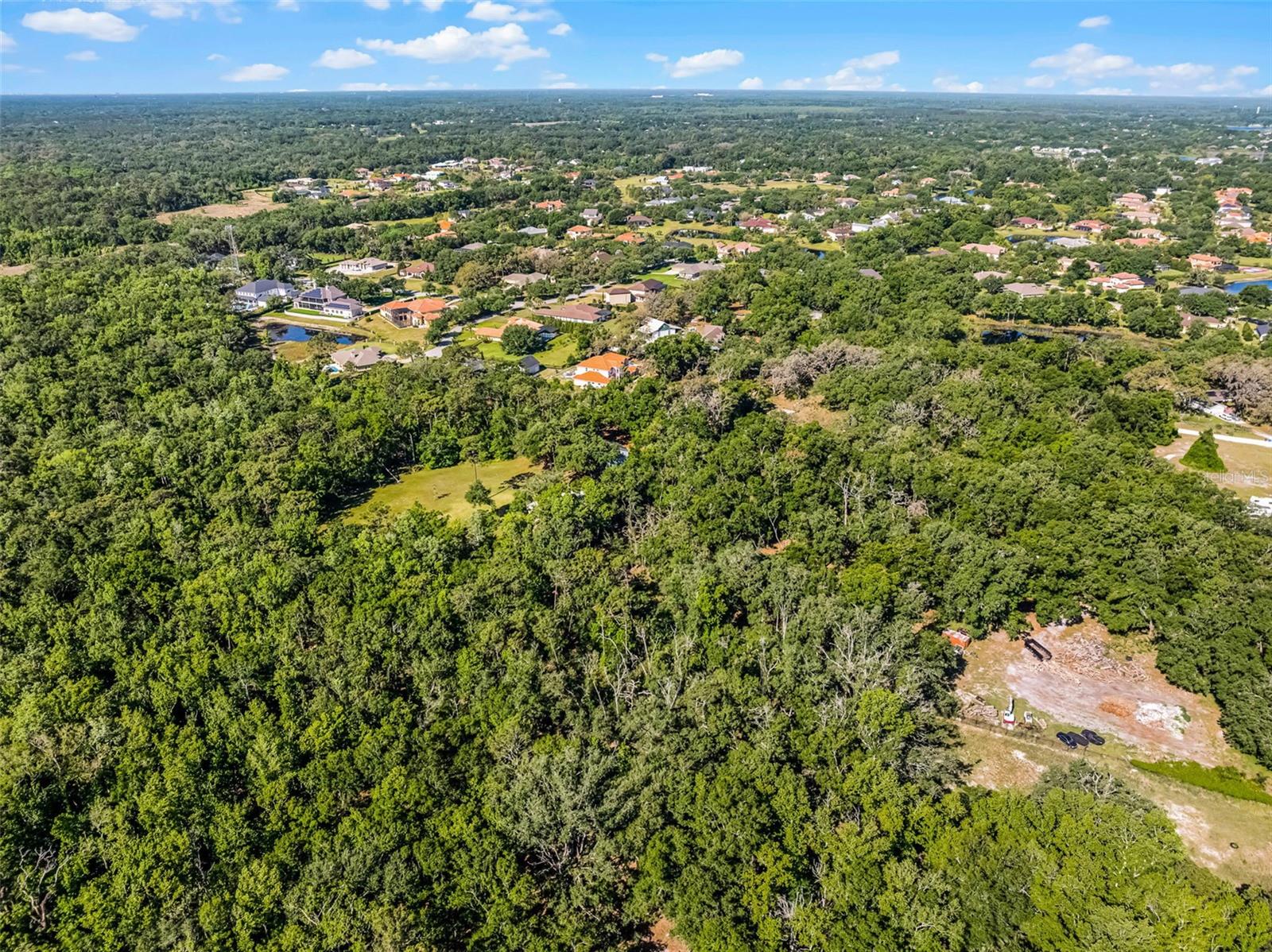 3633 PANTHER PATH RD, LUTZ, FL — photo 16