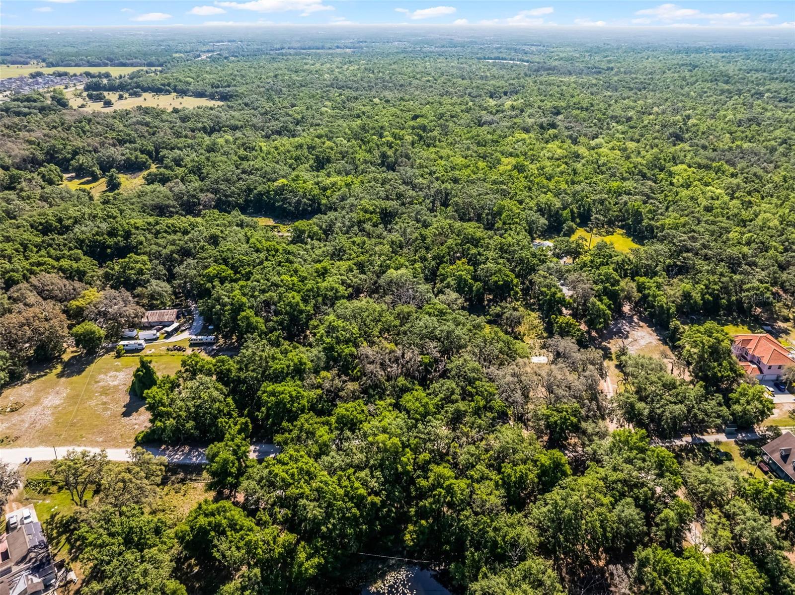 3633 PANTHER PATH RD, LUTZ, FL — photo 18
