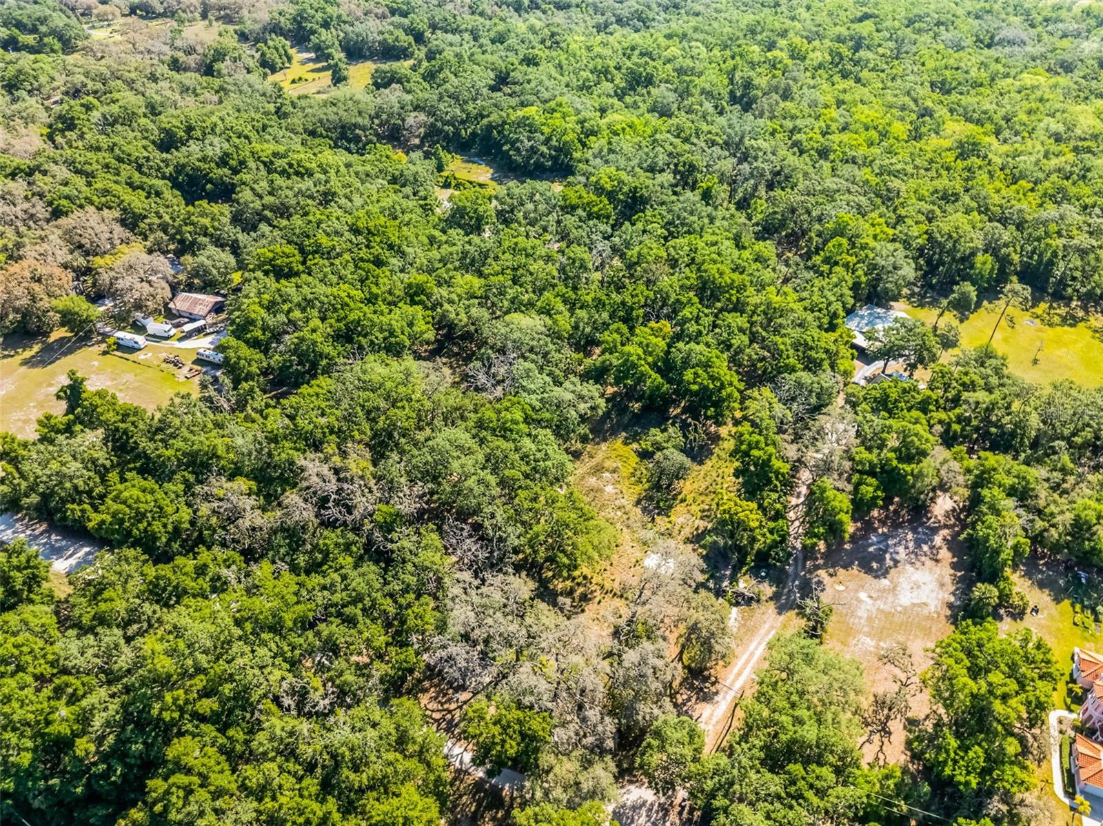 3633 PANTHER PATH RD, LUTZ, FL — photo 19