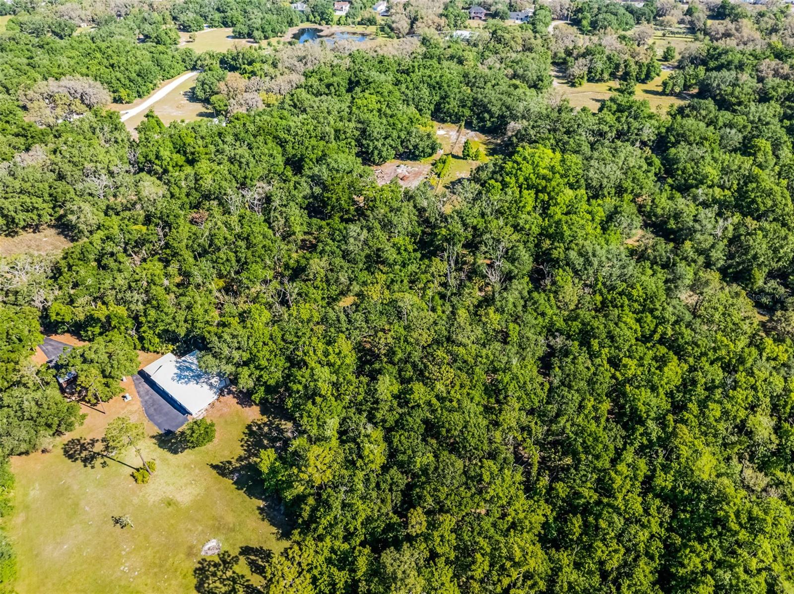 3633 PANTHER PATH RD, LUTZ, FL — photo 20