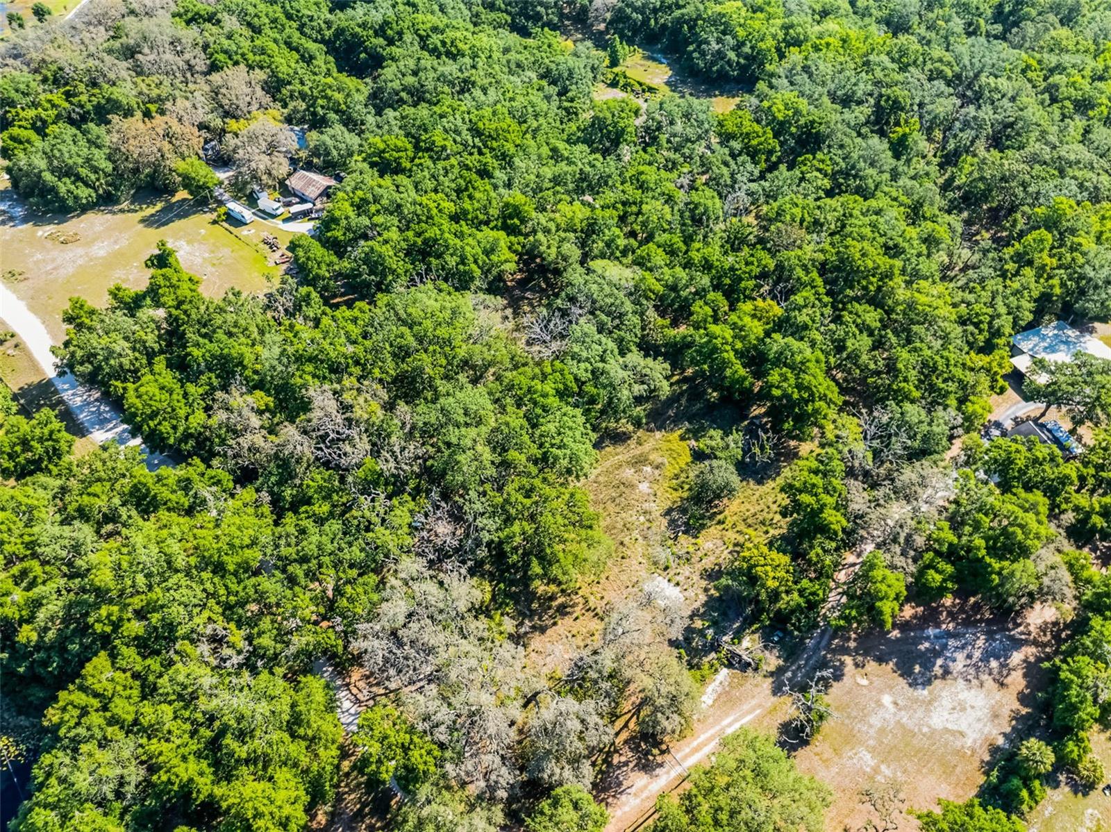 3633 PANTHER PATH RD, LUTZ, FL — photo 21