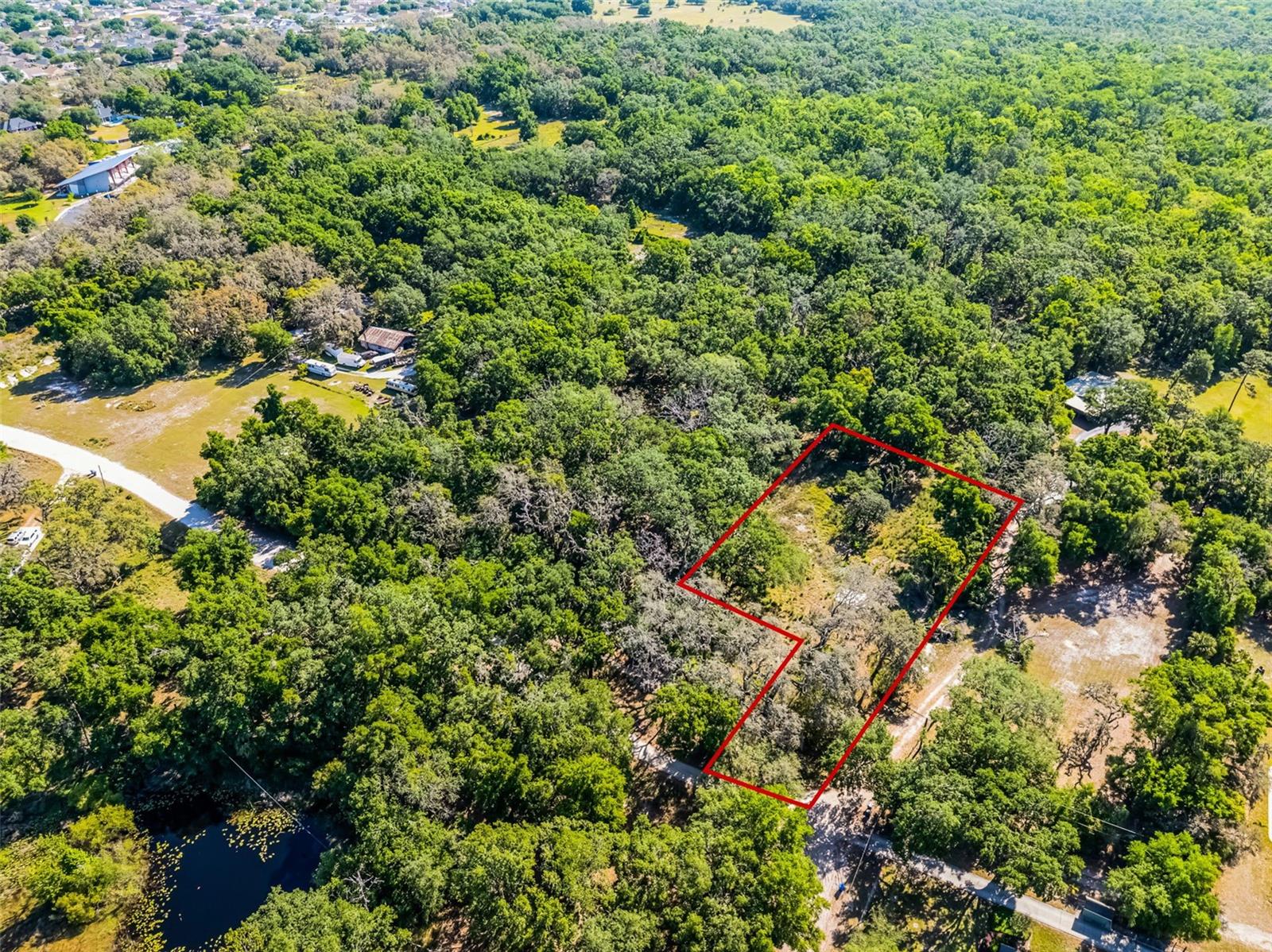 3633 PANTHER PATH RD, LUTZ, FL — photo 17