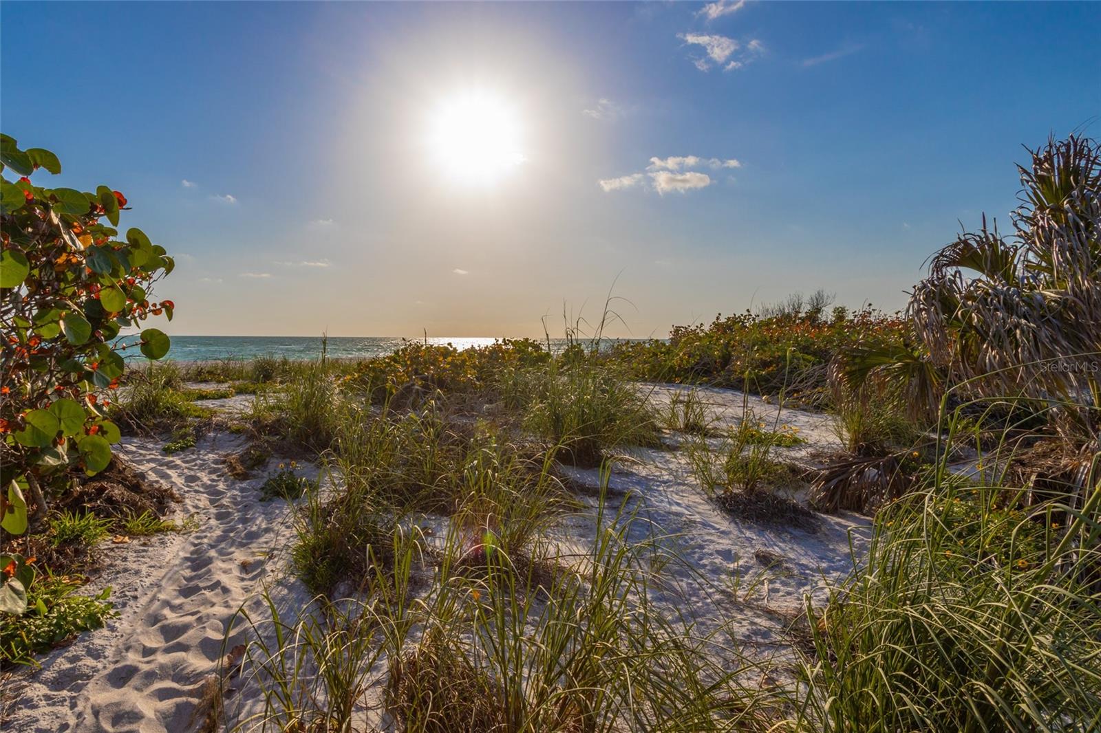 560 GULF BAY RD, LONGBOAT KEY, FL — photo 2