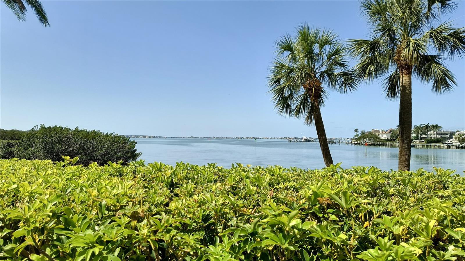 , BELLEAIR, FL — photo 14