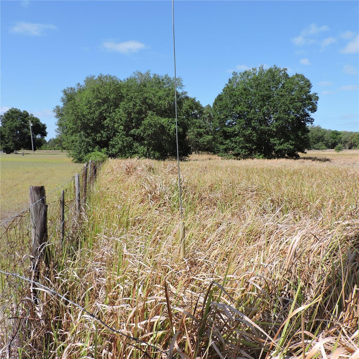 MARICAMP RD, OCKLAWAHA, FL — photo 13