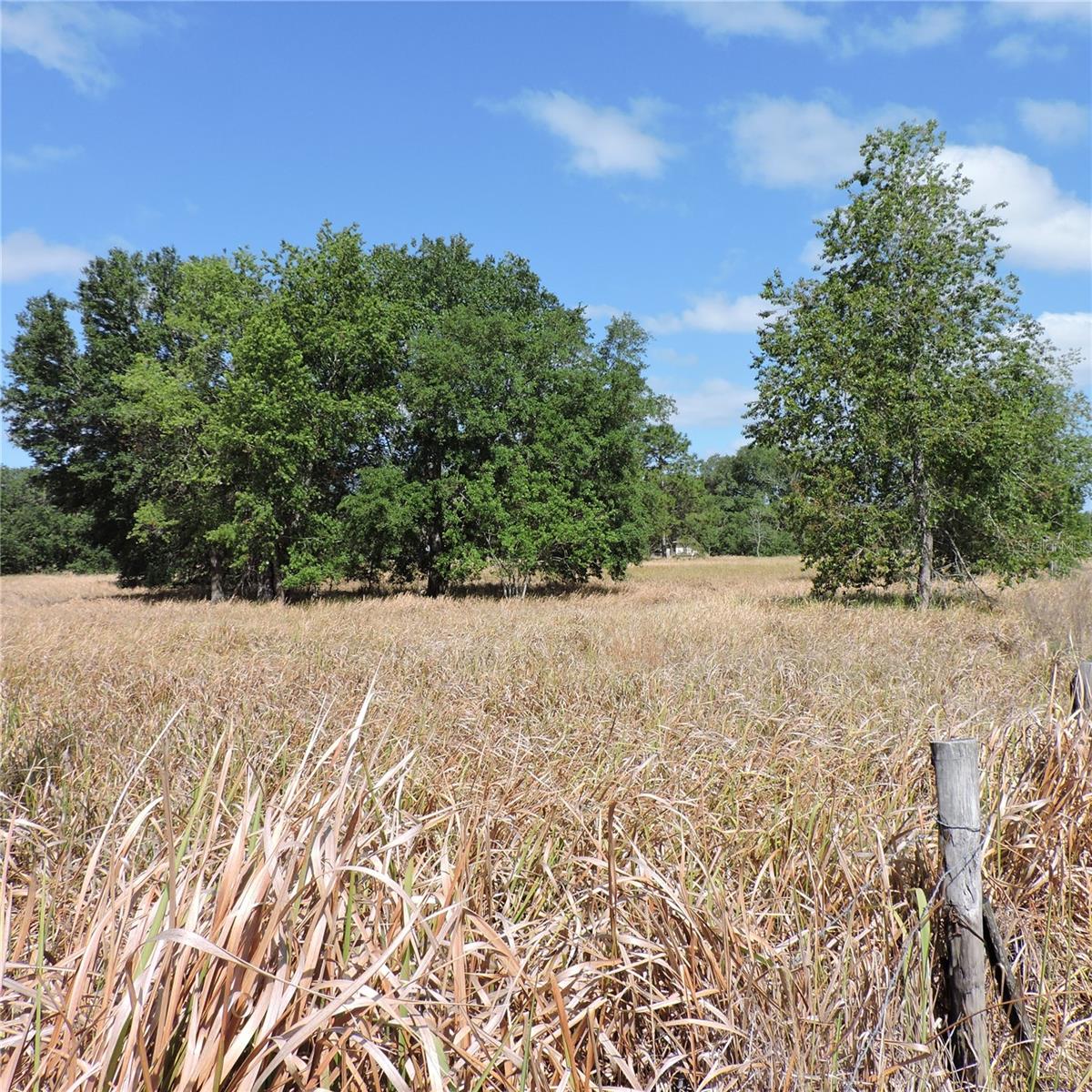 MARICAMP RD, OCKLAWAHA, FL — photo 17