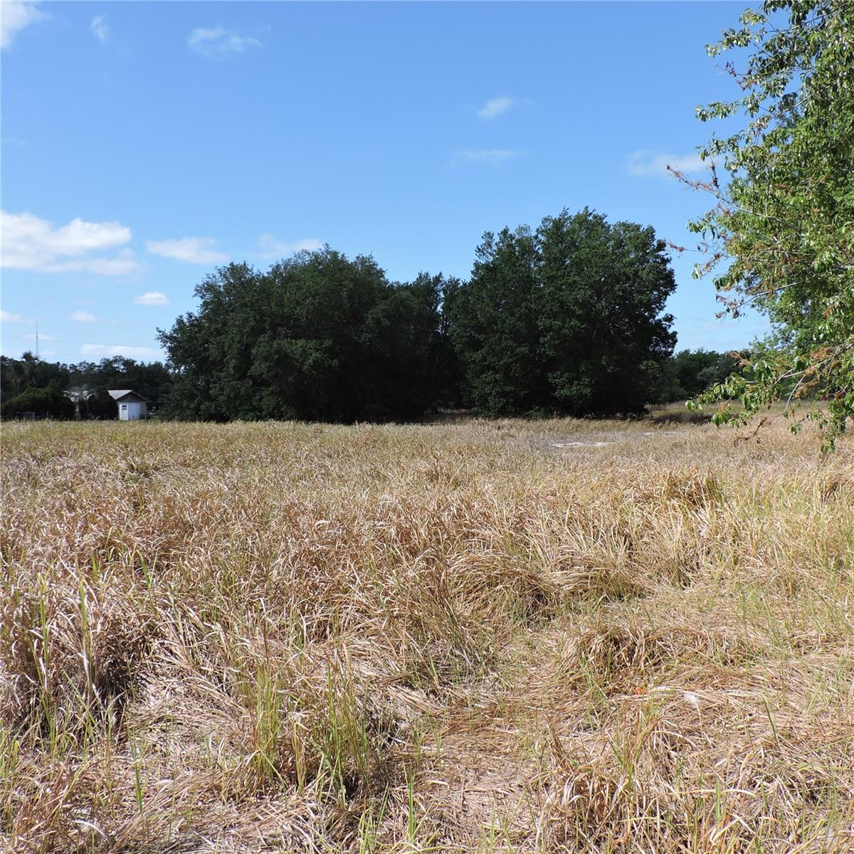 MARICAMP RD, OCKLAWAHA, FL — photo 20