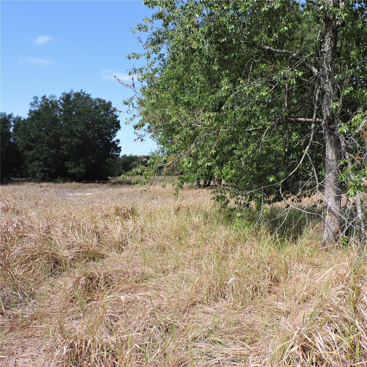 MARICAMP RD, OCKLAWAHA, FL — photo 21