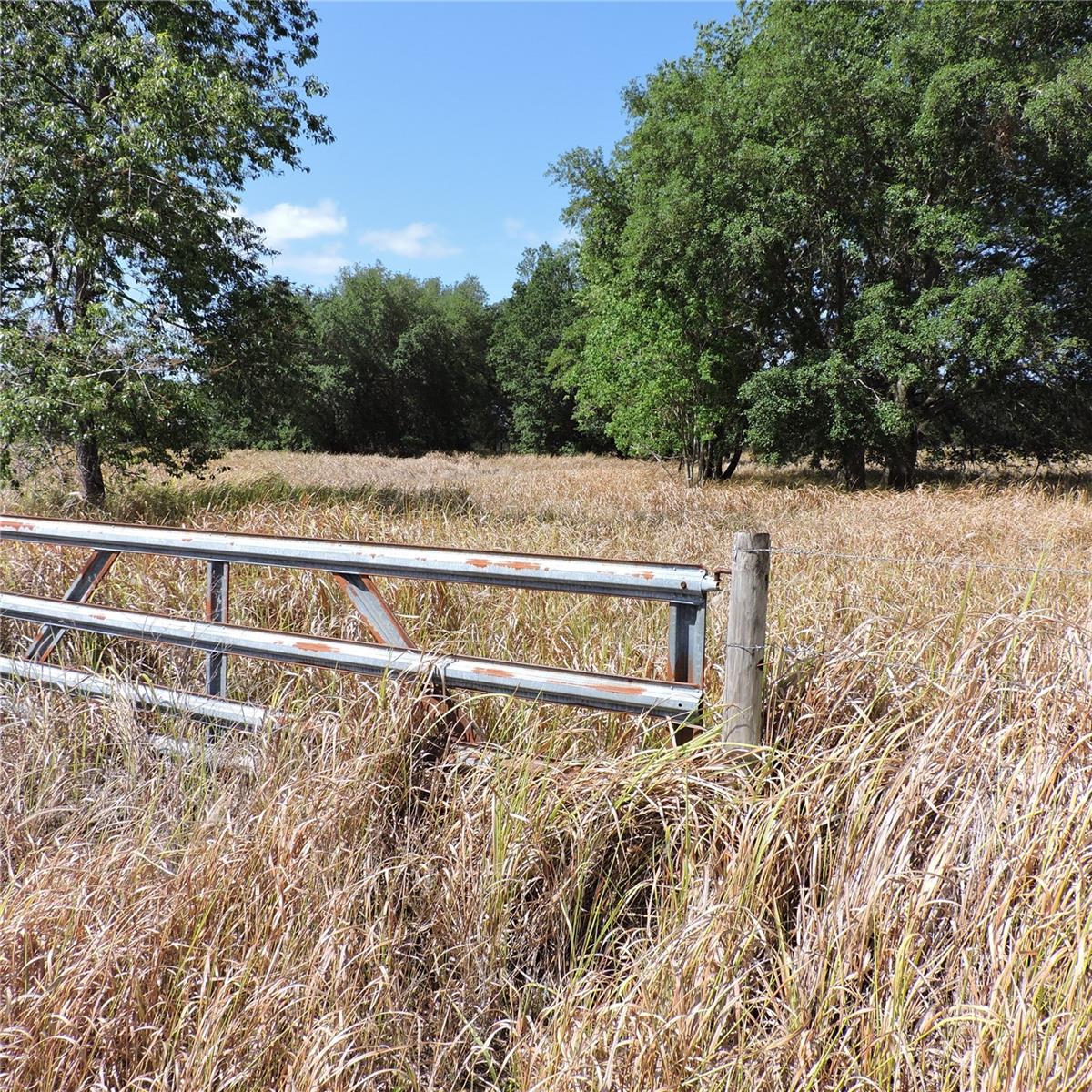 MARICAMP RD, OCKLAWAHA, FL — photo 23