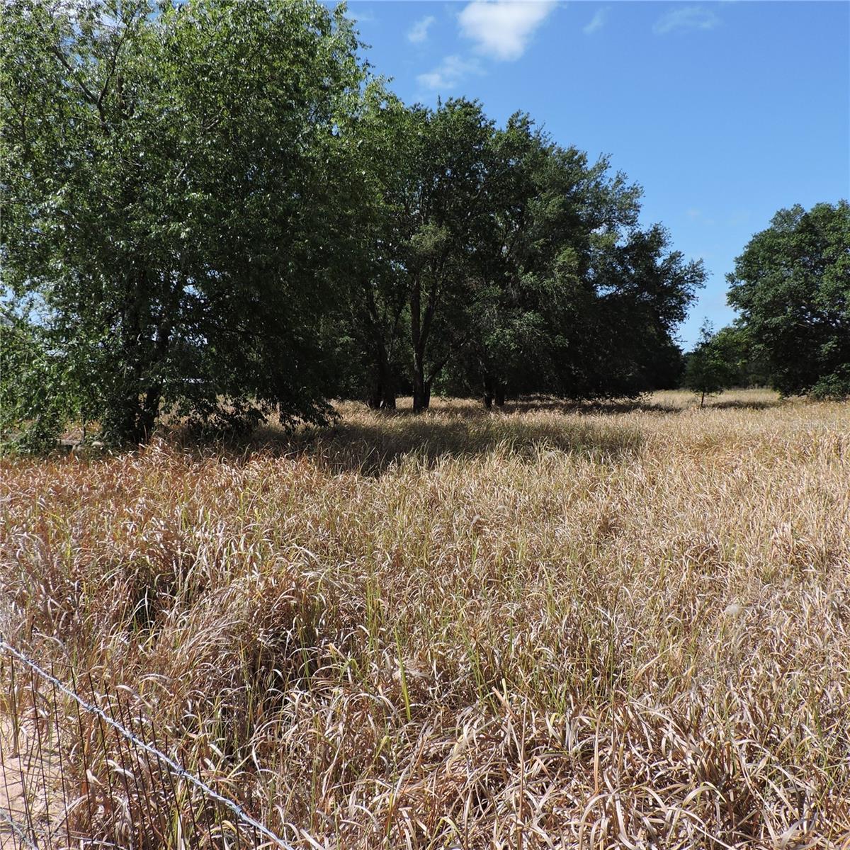 MARICAMP RD, OCKLAWAHA, FL — photo 29