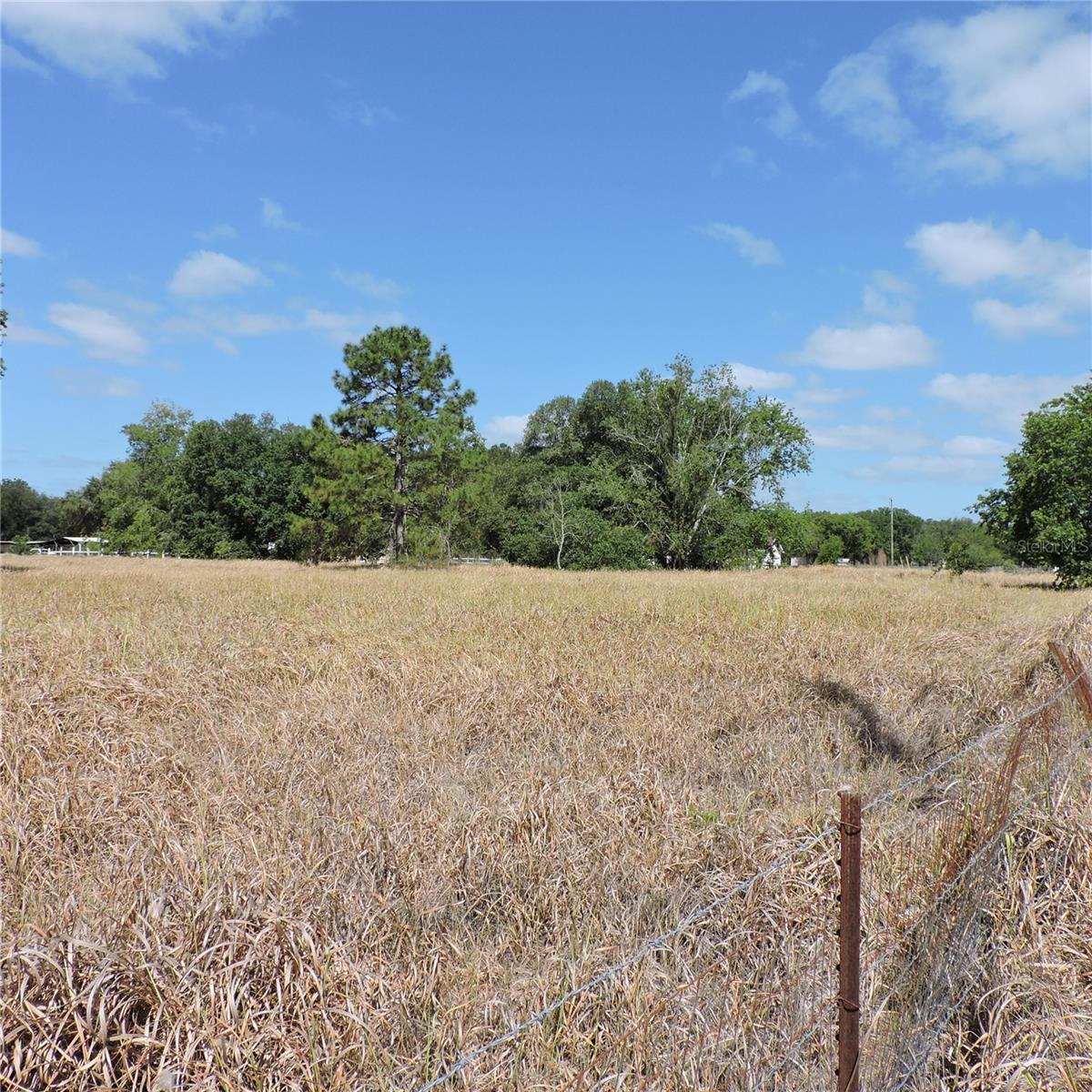 MARICAMP RD, OCKLAWAHA, FL — photo 36