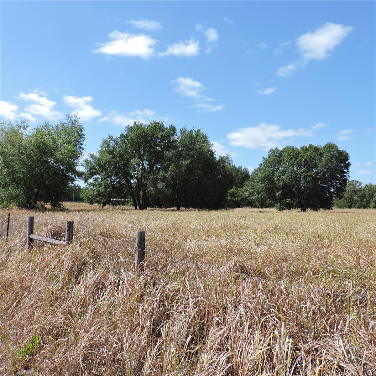 MARICAMP RD, OCKLAWAHA, FL — photo 37