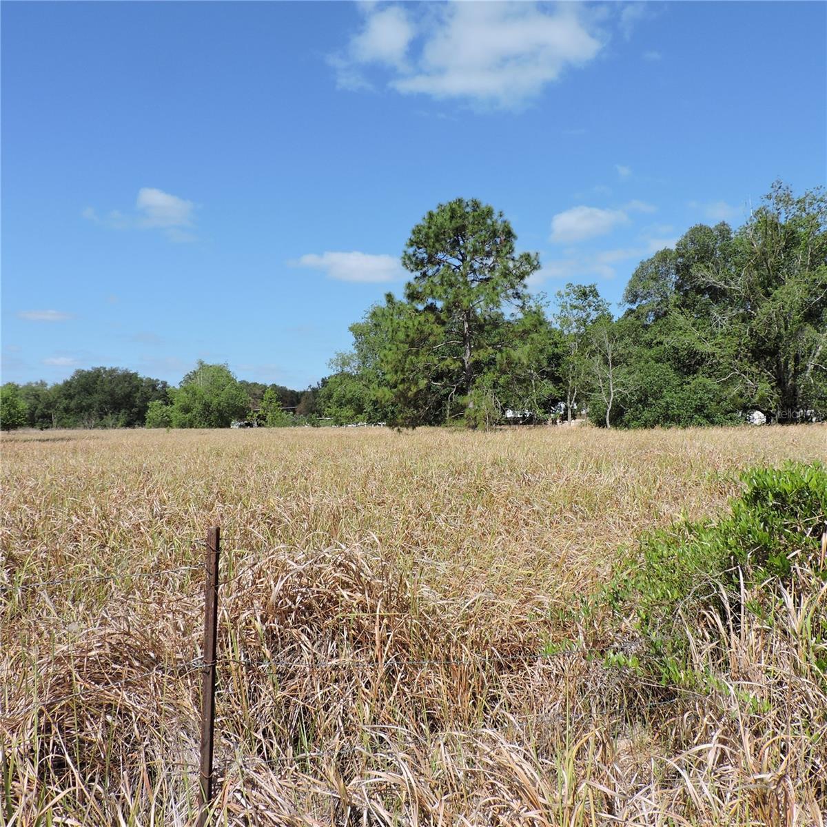MARICAMP RD, OCKLAWAHA, FL — photo 42