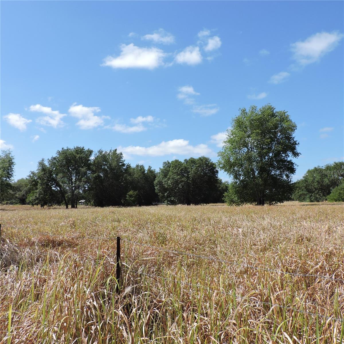 MARICAMP RD, OCKLAWAHA, FL — photo 43