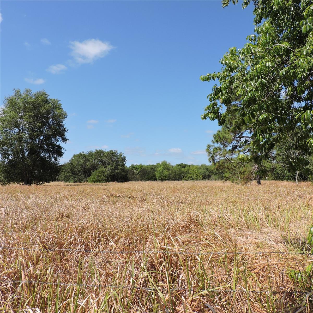 MARICAMP RD, OCKLAWAHA, FL — photo 46
