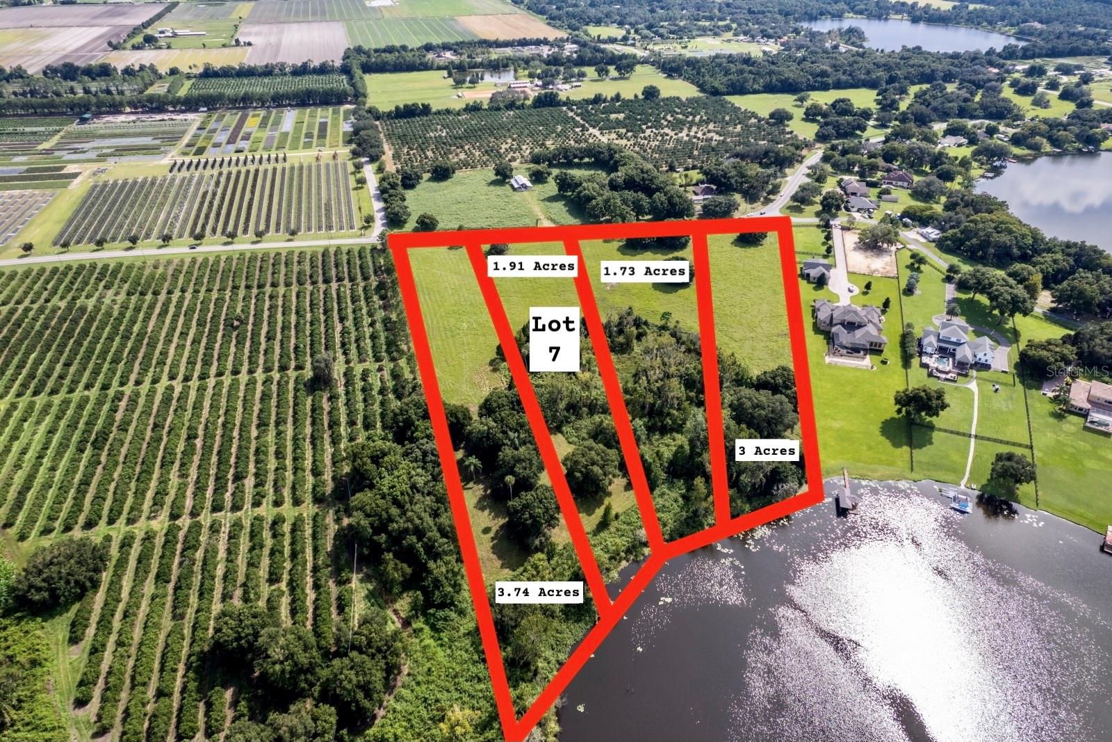 17937 COUNTY ROAD 448, MOUNT DORA, FL — photo 5