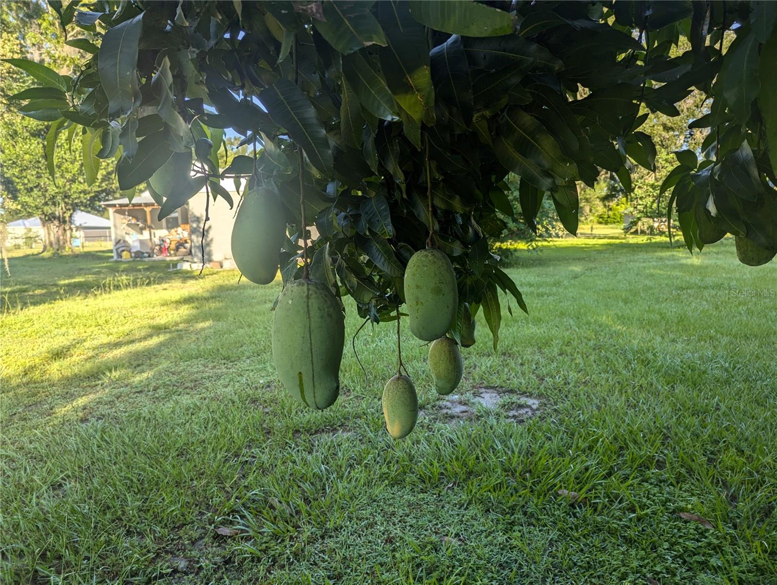 0 S PERRY AVE, FORT MEADE, FL — photo 22