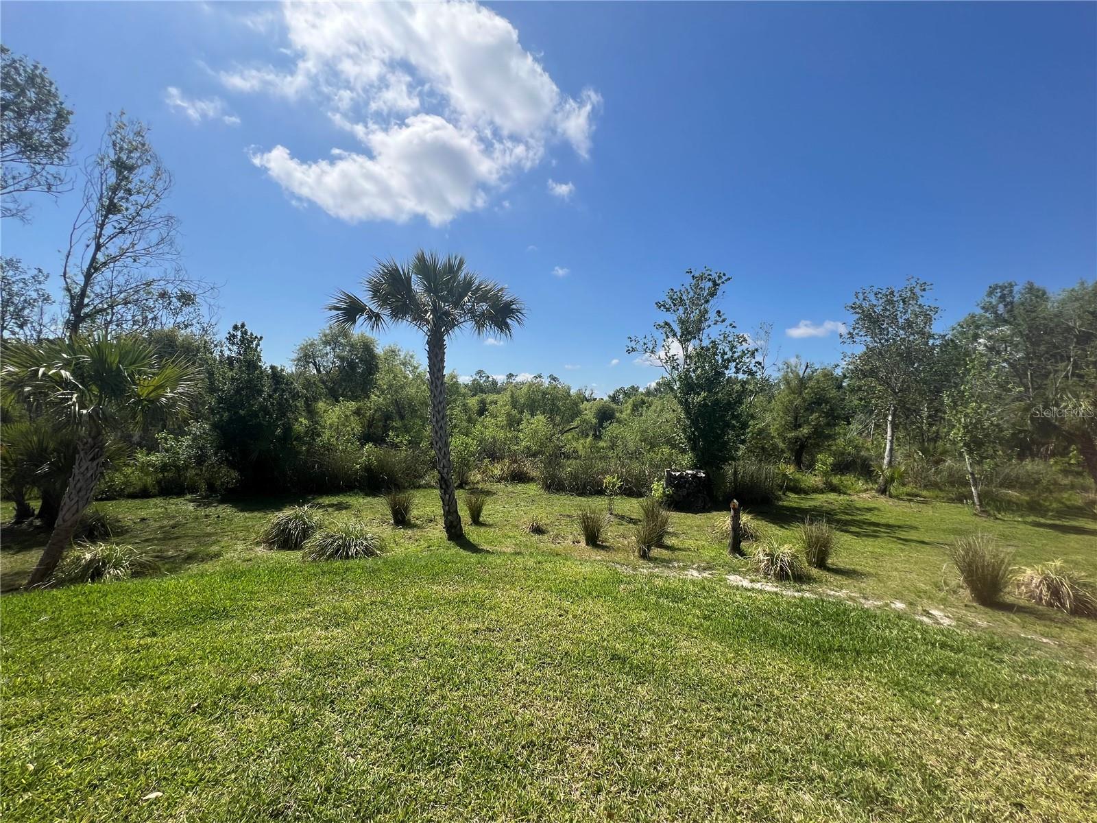 12116 SW CR 769 SW COUNTY ROAD 769 #219, LAKE SUZY, FL — photo 36