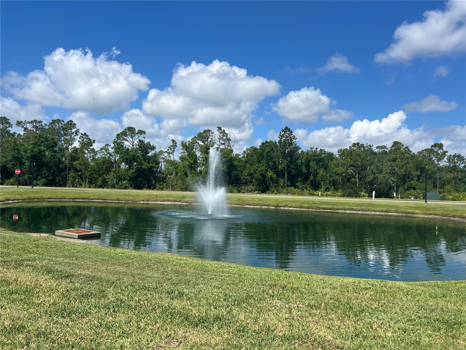 12116 SW CR 769 SW COUNTY ROAD 769 #219, LAKE SUZY, FL — photo 38