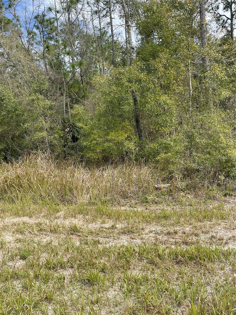 14139 PIGEON RD, HUDSON, FL
