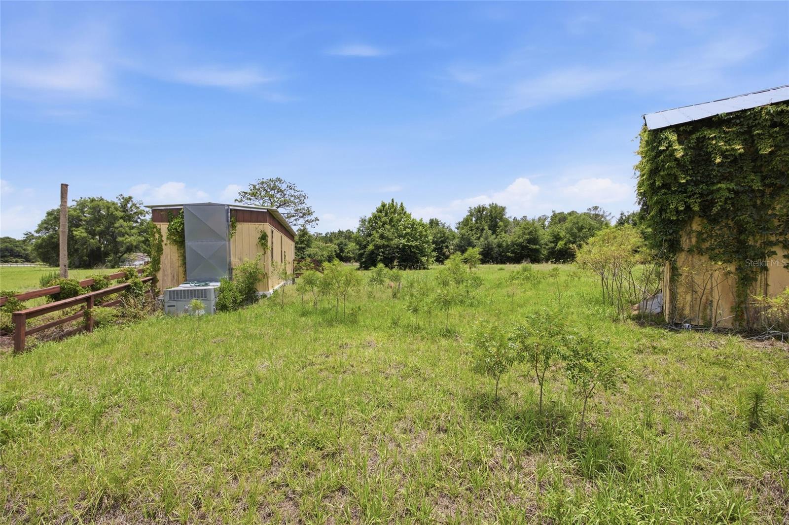12630 U.S. 441, BELLEVIEW, FL — photo 8