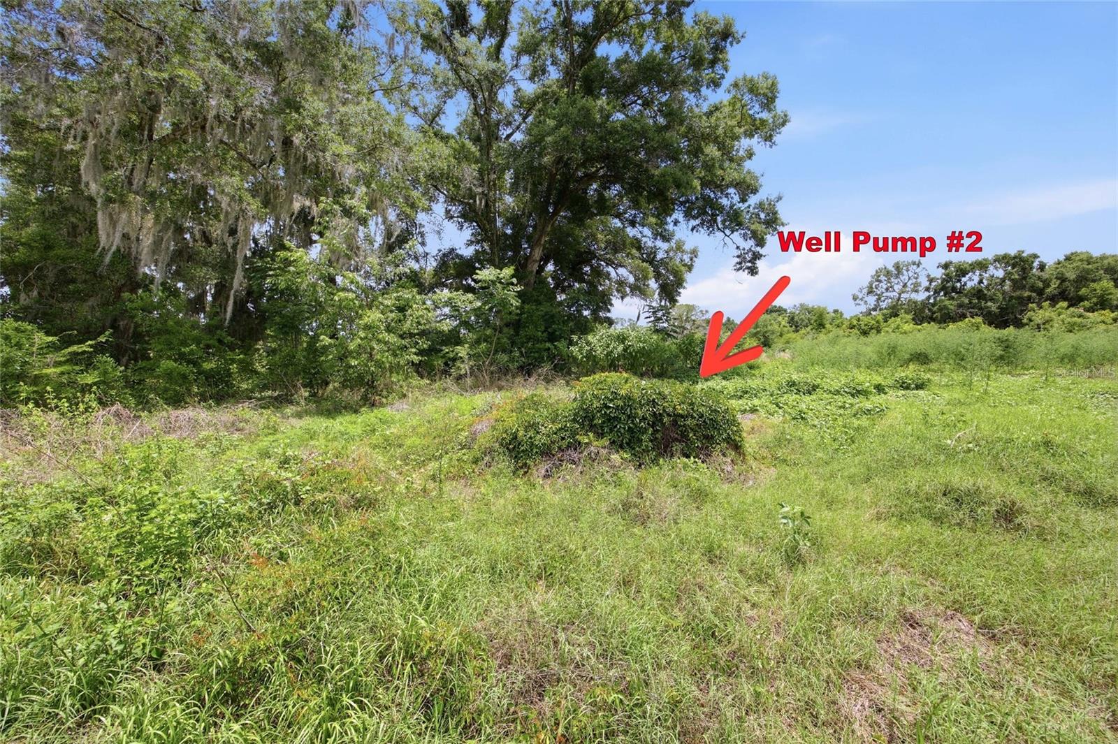 12630 U.S. 441, BELLEVIEW, FL — photo 10