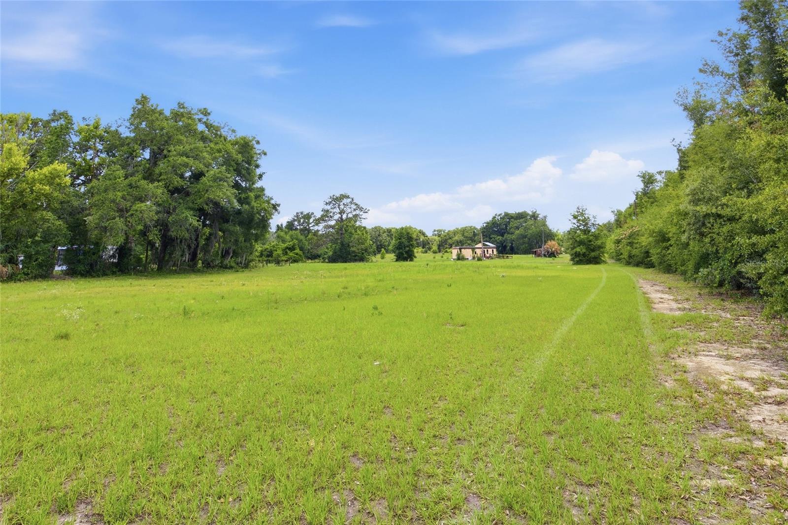 12630 U.S. 441, BELLEVIEW, FL — photo 13
