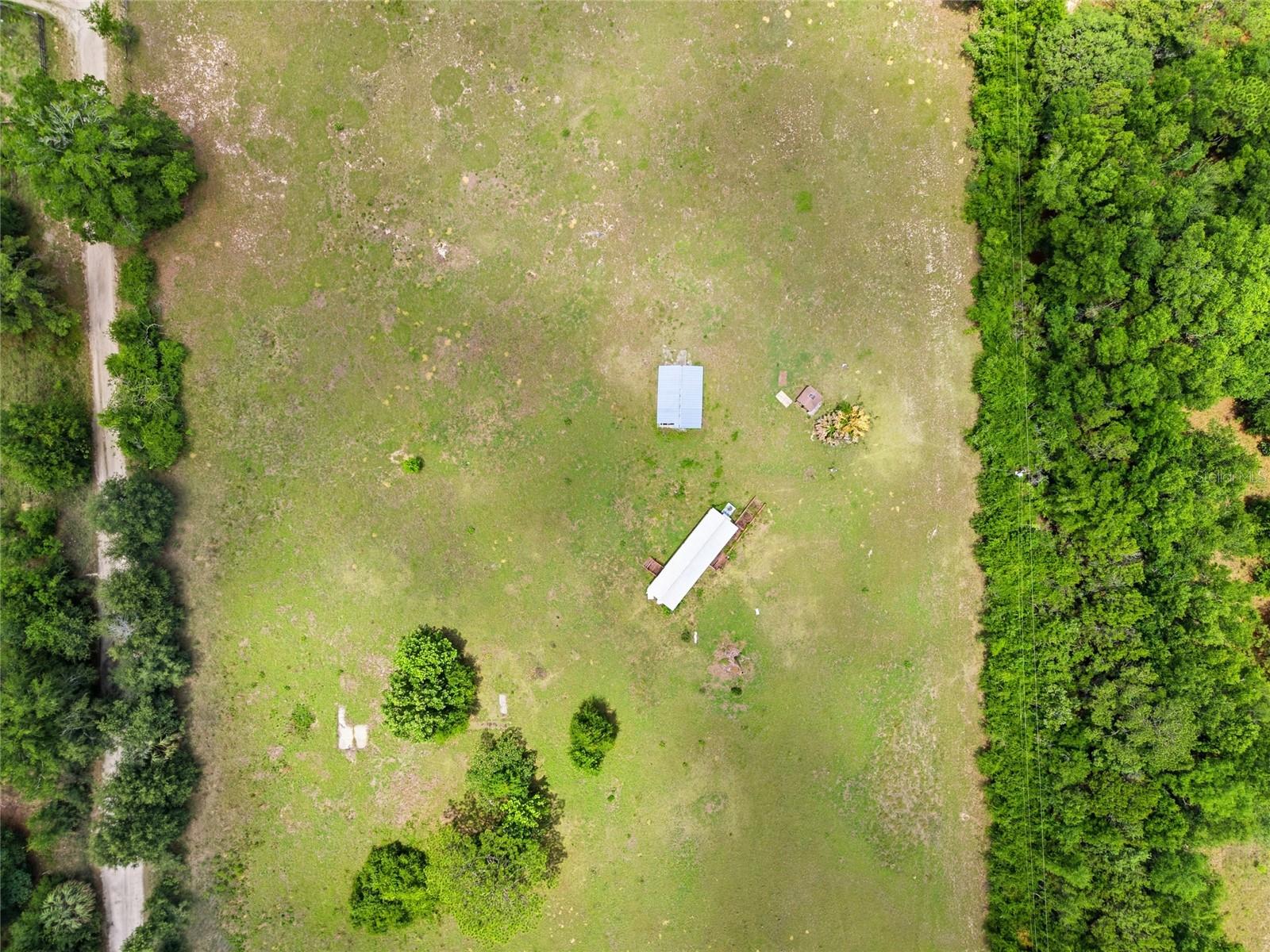 12630 U.S. 441, BELLEVIEW, FL — photo 17