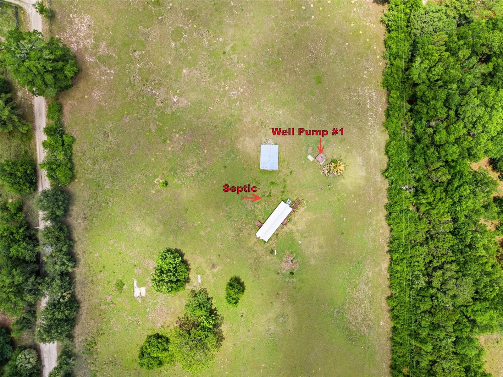 12630 U.S. 441, BELLEVIEW, FL — photo 2