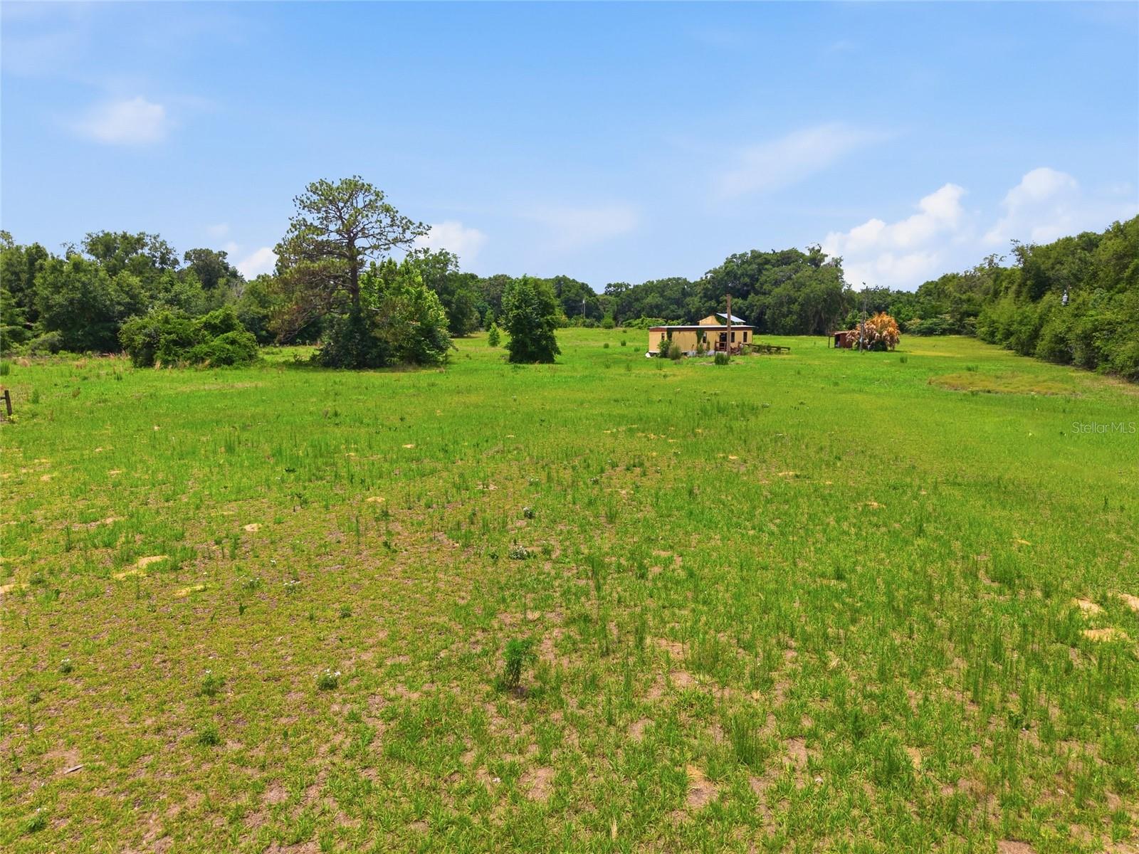 12630 U.S. 441, BELLEVIEW, FL — photo 41