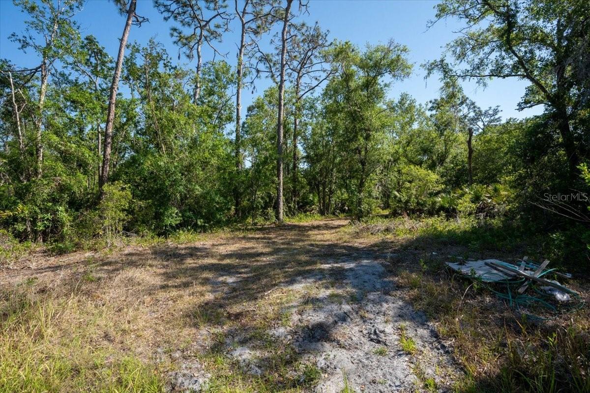 24820 49TH AVE E, MYAKKA CITY, FL — photo 16
