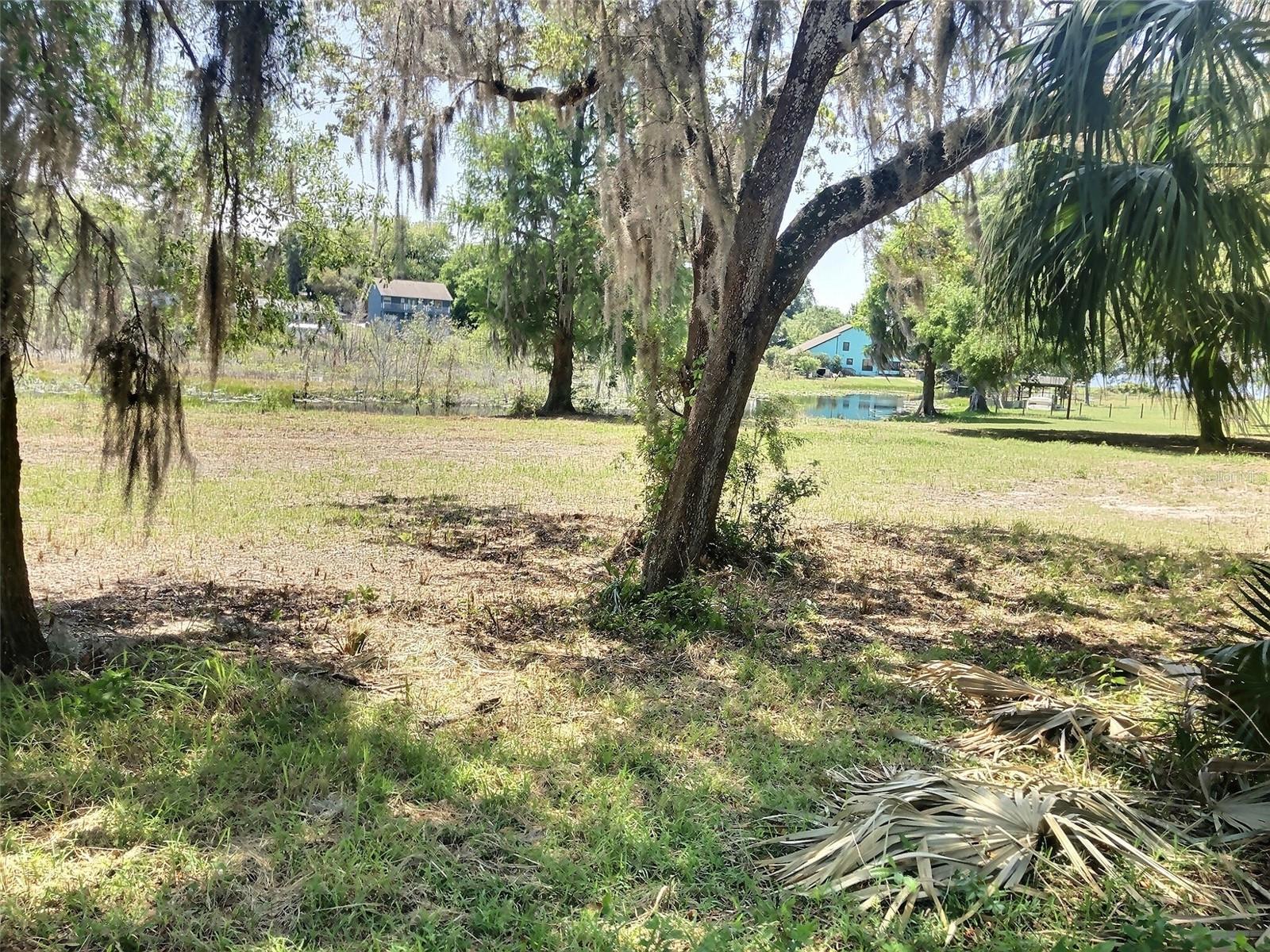 0 SE 110TH STREET RD, BELLEVIEW, FL — photo 10