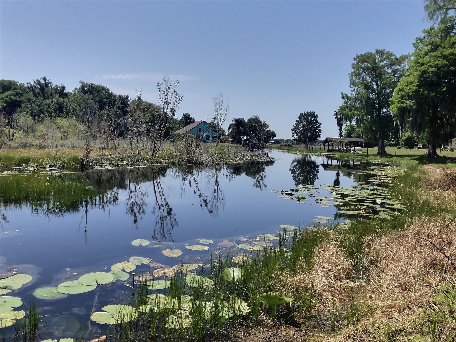 0 SE 110TH STREET RD, BELLEVIEW, FL — photo 3