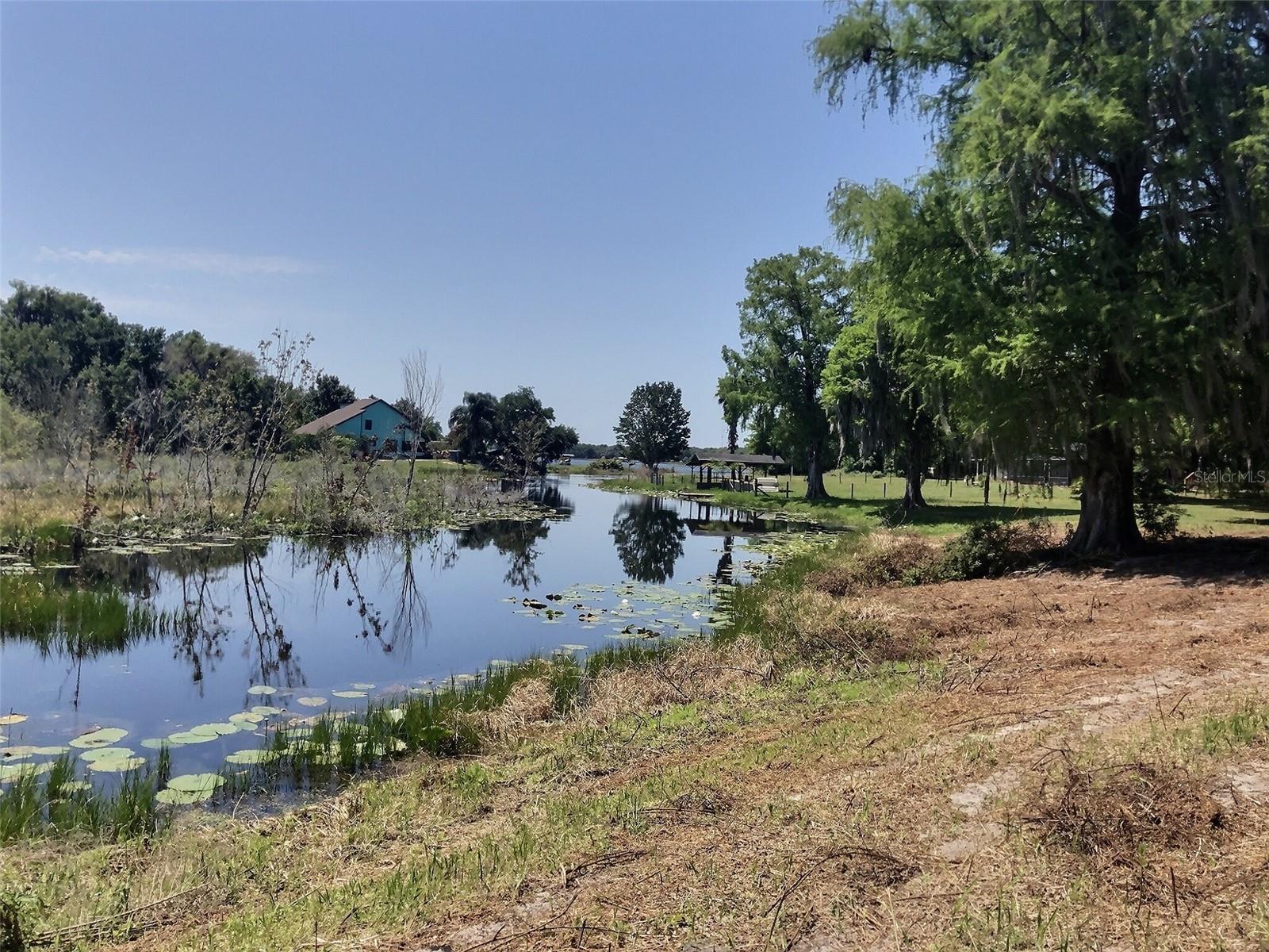 0 SE 110TH STREET RD, BELLEVIEW, FL — photo 6