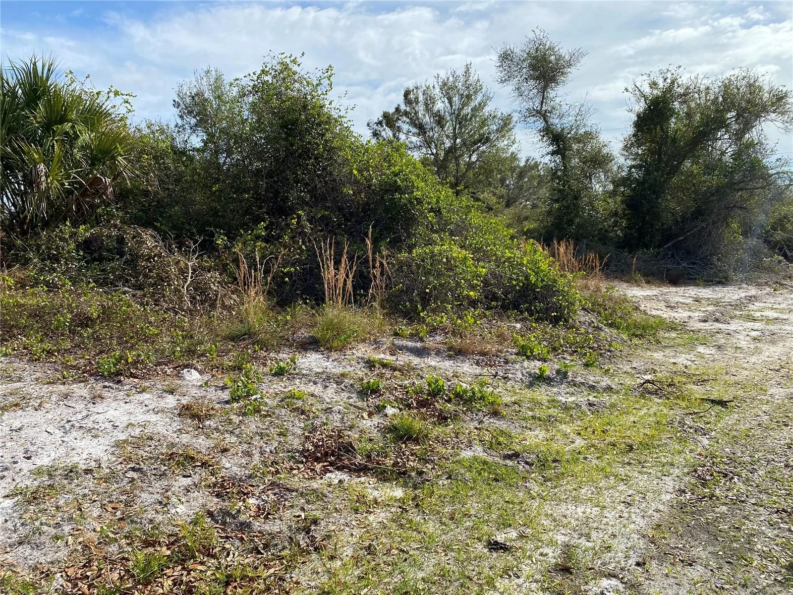 1616/1999 COASTAL/BROADPOINT DR, PUNTA GORDA, FL — photo 3
