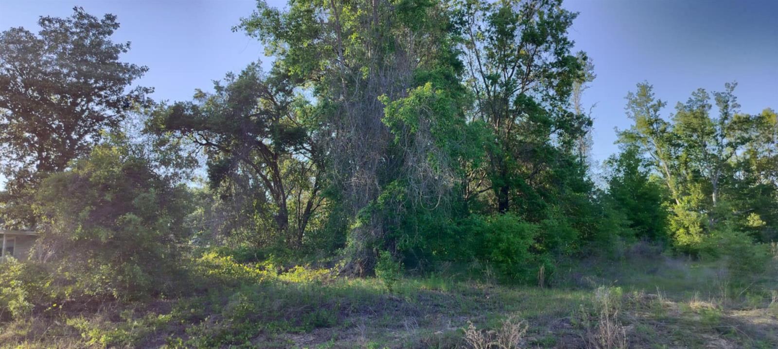2808 VAN BUREN ST W, INVERNESS, FL — photo 10