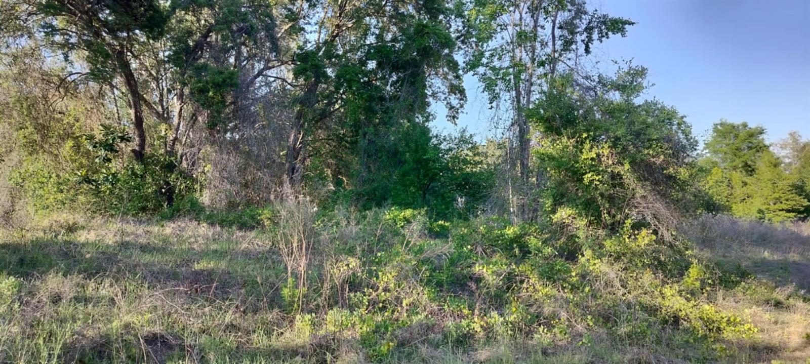 2808 VAN BUREN ST W, INVERNESS, FL — photo 11