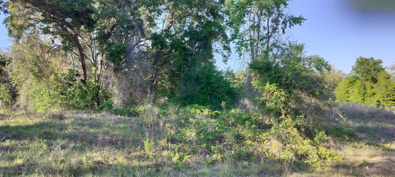 2808 VAN BUREN ST W, INVERNESS, FL — photo 13
