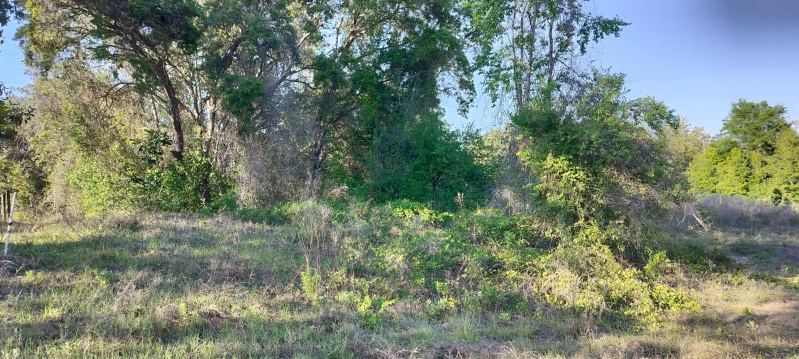 2808 VAN BUREN ST W, INVERNESS, FL — photo 14